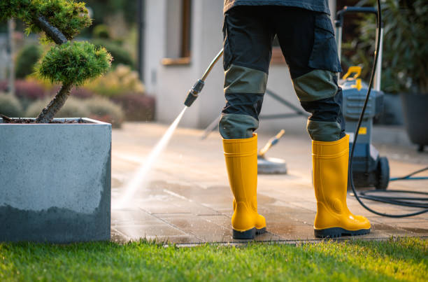 Best Roof Power Washing Services  in Clute, TX